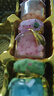 歌帝梵（GODIVA）經(jīng)典混合巧克力禮盒 19顆165g 零食 七夕情人節(jié)禮物 曬單實拍圖