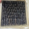 同仁堂品牌 北京同仁堂大連淡干海參遼參500g60-90只1斤裝海鮮干貨禮盒 曬單實(shí)拍圖