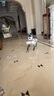 WEILAN BabyAlpha A2 128G 星光白 蔚藍(lán)阿爾法機(jī)器狗  人工智能機(jī)器狗  AI機(jī)器狗 新年禮品高端禮物 曬單實(shí)拍圖