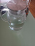 青蘋(píng)果玻璃冷水壺涼水壺家用耐高溫裝水涼水杯大容量涼白開(kāi)茶壺扎壺套裝 波比壺 1800ml 曬單實(shí)拍圖