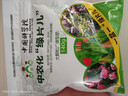 中農化植物營(yíng)養緩釋片肥料氮磷鉀種花養花肥家用果蔬盆栽花卉通用復合肥 綠片兒 綠植綠葉型 綠片2袋  9片/袋 約140g/袋 曬單實(shí)拍圖