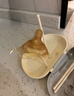 世喜乳盾新生兒奶盾 乳頭保護(hù)罩乳貼 輔助喂奶嘴雙層矯正器 曬單實(shí)拍圖