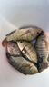 小鳳仙咬鉤變色夜光漂錘頭尾發(fā)光漂夜釣電子漂鯽鯉魚漂標加粗醒目近視漂 曬單實拍圖