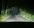 FSL榮耀ProLED汽車大燈超亮HB3車燈近光燈遠(yuǎn)光燈小巧高亮聚光超強(qiáng)55W 曬單實拍圖