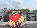 Siggi防曬帽子女遮陽帽夏季沙灘度假?zèng)雒焙Y(jié)顯臉小寬檐草帽盆帽子 曬單實(shí)拍圖