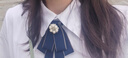 隨燦領(lǐng)結(jié)英倫學(xué)院風(fēng)JK領(lǐng)花女士職業(yè)工作服裝飾韓國襯衫衣領(lǐng)飄帶蝴蝶結(jié) 藍色綁帶款領(lǐng)結(jié)【1個裝】 曬單實拍圖