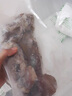 美加佳 鮮凍整只大魷魚（2-3只） 凈重550g 整條魷魚 深海捕撈 海鮮水產(chǎn) 曬單實拍圖