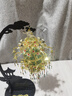 拼酷（piececool）銀香囊金屬3d立體拼圖diy手工拼裝模型生日情人節(jié)送女朋友禮物 曬單實(shí)拍圖
