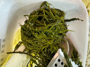 鹽漬馬尾藻 鞭炮筍海藻菜羊棲涼拌菜海草 火鍋食材 鹽漬馬尾藻250g*3袋 曬單實拍圖