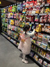 木木屋公主裙女童連衣裙春秋2025洋氣兒童裙子長袖兩件套女寶寶tutu裙 粉色 110 尺碼4~5歲【100-110cm】 曬單實拍圖