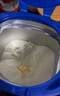 花王妙而舒紙尿褲XL44片(12-17kg)加大號(hào)尿不濕綿柔材質(zhì)夏季安心暢玩 曬單實(shí)拍圖