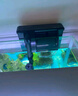 森森（SUNSUN）魚(yú)缸壁掛過(guò)濾器外置過(guò)濾水草缸外掛過(guò)濾多功能過(guò)濾桶三合一過(guò)濾器 HBL-402 2W（適合20-50cm長(zhǎng)魚(yú)缸） 曬單實(shí)拍圖