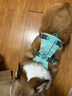 拉夫威爾弗格蘭狗狗胸背帶牽引繩小型犬ruffwear柴犬寵物狗背心胸背帶 鼠尾草綠/霧森綠 S 曬單實拍圖