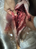微山湖野生鯉魚四鼻鯉魚新鮮活魚現(xiàn)殺凈膛漁民捕撈 微山湖野生鯉魚 5斤/條(宰殺好15-20%損耗) 曬單實(shí)拍圖