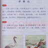 四年級上冊快樂讀書吧中國古代神話 山海經(jīng) 世界神話傳說 希臘神話神話四年級必讀課外書同步語文人教版配套閱讀 贈閱讀指導(dǎo)手冊 曬單實(shí)拍圖