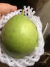千園九味山東綠寶石梨時令水果新鮮青皮梨子脆甜多汁酥脆少渣皇冠翠蜜 優(yōu)選凈重4.5斤大果單果200g+ 曬單實拍圖