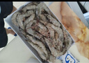 蝦有蝦途國(guó)產(chǎn)青島大蝦白蝦青蝦基圍蝦鮮蝦冷凍生鮮蝦類鮮活特大海捕整箱裝 14-16厘米 3斤(凈重) 曬單實(shí)拍圖
