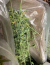 比克熊 苜蓿草1kg兔糧兔子草料烘干紫花幼兔牧草豚鼠磨牙飼料糧草毛重 曬單實拍圖