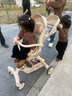 dodoto高景觀(guān)溜娃神器可坐躺輕便寶寶手推車(chē)雙向一鍵折疊嬰兒遛娃車(chē)M11 【香檳色】皮棚 曬單實(shí)拍圖