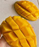 閩域?qū)r金煌芒新鮮現(xiàn)摘現(xiàn)發(fā)應(yīng)季時(shí)令熱帶孕婦新鮮采摘皮薄海南金煌芒 凈重8斤【單果250g】 【手工精選】 曬單實(shí)拍圖