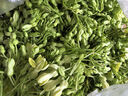夜香花新鮮夜來(lái)香食用酒店樓農(nóng)莊特色應(yīng)季蔬菜食材煎蛋煲湯月見(jiàn)草 500g 曬單實(shí)拍圖