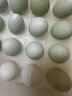 香丹青 綠殼烏雞蛋 新鮮農(nóng)家散養(yǎng)土雞蛋正宗五谷黑雞 30枚 曬單實(shí)拍圖
