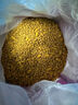 偉嘉（whiskas）成貓貓糧10kg海洋魚加菲英短貓咪夾心糧全價糧 曬單實拍圖