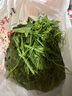 貴州當季農家瓜尖蔬菜高山蔬菜龍須菜洋瓜尖佛手瓜嫩尖炒菜涼拌菜 貴州精品瓜尖1斤【農家種植】 曬單實(shí)拍圖
