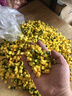 甄樽切菜機商用電動(dòng)食堂用多功能切酸菜切絲機大頭菜切絲機切茶葉機桑葉切丁機芥菜切段機豆腐 801型【適用學(xué)校單位切片絲丁】 曬單實(shí)拍圖