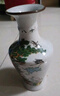 撿漏古玩古董清乾隆粉彩十八鶴圖花瓶瓷器展柜擺件古董家居收藏 曬單實(shí)拍圖