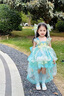 G.DUCKKIDS小黃鴨童裝洛麗塔公主裙兒童裙子夏季女孩生日禮服薄款網(wǎng)紗蓬蓬裙 綠色 120 尺碼5~6歲【110-120cm】cm 曬單實(shí)拍圖
