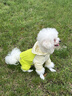 MIKI PAD狗狗雨衣四腳防臟狗衣服涼涼衣夏季薄款貓咪衣服中小型犬防曬衣 輕薄晴雨兩用防曬衣 M胸圍50CM【適合11-16斤】 曬單實拍圖