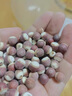 【新貨】芡實(shí)肇慶農家芡實(shí)干貨大顆粒無(wú)硫熏養生食品煮粥煲湯芡實(shí) 250克 曬單實(shí)拍圖