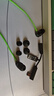 雷蛇（Razer）戰(zhàn)錘狂鯊V3 有線入耳式耳機(jī)耳塞 7.1環(huán)繞聲 吃雞神器 三角洲官方指定 Type C（贈(zèng)THX軟件 可調(diào)EQ） 曬單實(shí)拍圖