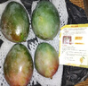京覓四川凱特芒果新鮮水果凈重4.5斤單果400g+源頭直發(fā)包郵 曬單實(shí)拍圖