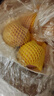 佳農(nóng) 煙臺(tái)紅富士蘋果 凈重10斤 特級(jí)果 單果240g+ 禮盒裝 曬單實(shí)拍圖