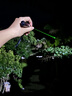 燈火匠激光筆大功率戶外綠光遠(yuǎn)射led屏指示可充電天文指星筆售樓沙盤燈 升級版綠光【帶數(shù)顯】 曬單實(shí)拍圖