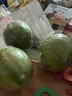 無(wú)籽青檸檬鮮果泰國(guó)塔希提皮薄多汁小青檸批發(fā)奶茶店 皮薄多汁3-5個(gè)凈重225克+ 【一級(jí)好果】 曬單實(shí)拍圖