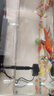 鸚鸚怪魚(yú)缸客廳塑料中小型金魚(yú)缸亞克力生態(tài)缸斗魚(yú)缸家用新款智能溪流缸 45黑色專業(yè)套餐（彩燈+過(guò)濾增氧二合一） 曬單實(shí)拍圖