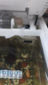 森森HE480魚缸水泵蓋子XHE系列 HE480魚缸水泵（HQJ-700G） 曬單實(shí)拍圖