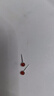 DL 1998胖東來品質(zhì)瑪瑙耳釘足銀999天l然紅女銀敏紅色簡(jiǎn)約百搭耳骨釘極小 天|然紫水晶6MM《兩只價(jià)》 曬單實(shí)拍圖