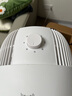 美的（Midea）【暴風(fēng)循環(huán)】空氣循環(huán)扇大風(fēng)量搖頭電風(fēng)扇家用臺式落地扇輕音臥室節(jié)能小風(fēng)扇柔風(fēng)輕羽扇 FGA24TQ 曬單實拍圖