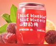 檸檬共和國(guó)（Lemon Republic）迷你氣泡果汁輕負(fù)擔(dān)200ML混合口味裝*12罐（荔枝+楊梅+三檸） 曬單實(shí)拍圖