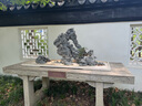 HAILE海樂尼龍?jiān)鷰?多功能扎線帶束線帶 自鎖式阻燃扎帶 3.6*200mm 黑色500根ZD-20H-500 曬單實(shí)拍圖