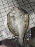 釣魚記開背海鱸魚1斤-1.3斤 三去凈重 冷凍 生鮮 魚類 海鮮水產(chǎn) 曬單實(shí)拍圖