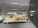 布卡星彩虹紙粒倉鼠祛味墊料吸水除臭金絲熊造景用品紫色1kg 曬單實(shí)拍圖