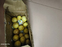 果益壽廣西欽蜜9號黃金百香果 新鮮水果白香果醬原漿整箱 30個裝 嘗鮮果【單果30g以下】 曬單實拍圖