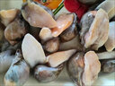 老婆腳鮮活冷凍鮑魚(yú)螺新鮮假鮑魚(yú)珍珠鮑黃金鮑撈汁海鮮原料海鮮 四包 2000克(凈重)  【每斤20-40?！坷滏溸\輸 曬單實(shí)拍圖