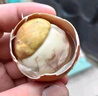 都豐年香辣活珠子50g*20枚 2斤 高蛋白營(yíng)養(yǎng)雞胚蛋開袋即食 團(tuán)購(gòu)送禮 曬單實(shí)拍圖