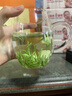 沁茗袍特級黃山毛峰蘭花香茶葉2025新茶正宗安徽頭采綠茶禮盒春節送禮品 黃山毛峰禮盒裝200g(山川風(fēng)物) 曬單實(shí)拍圖